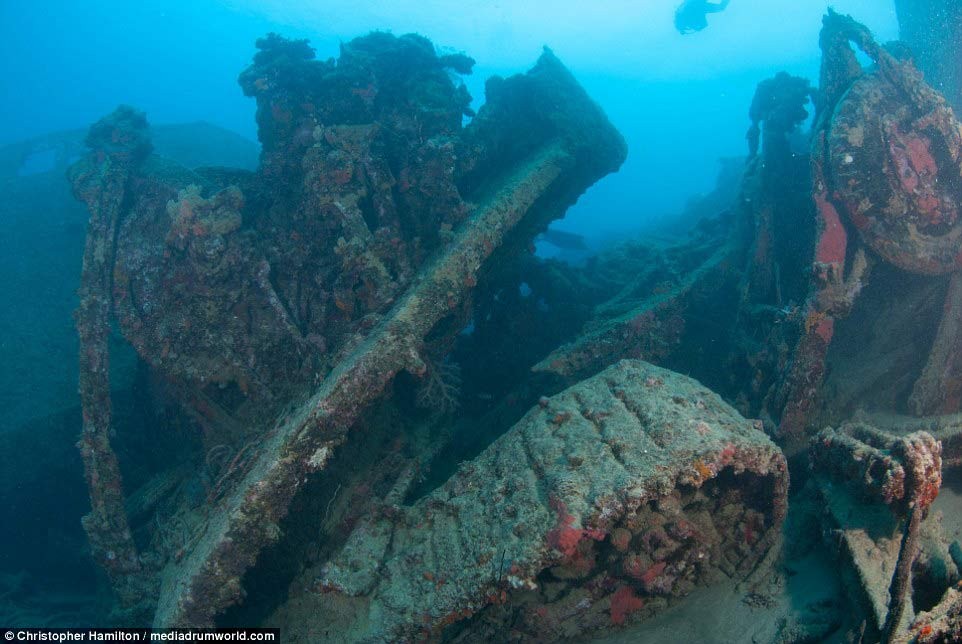 Khám phá “kho báu” của Mỹ dưới đáy Thái Bình Dương ảnh 5