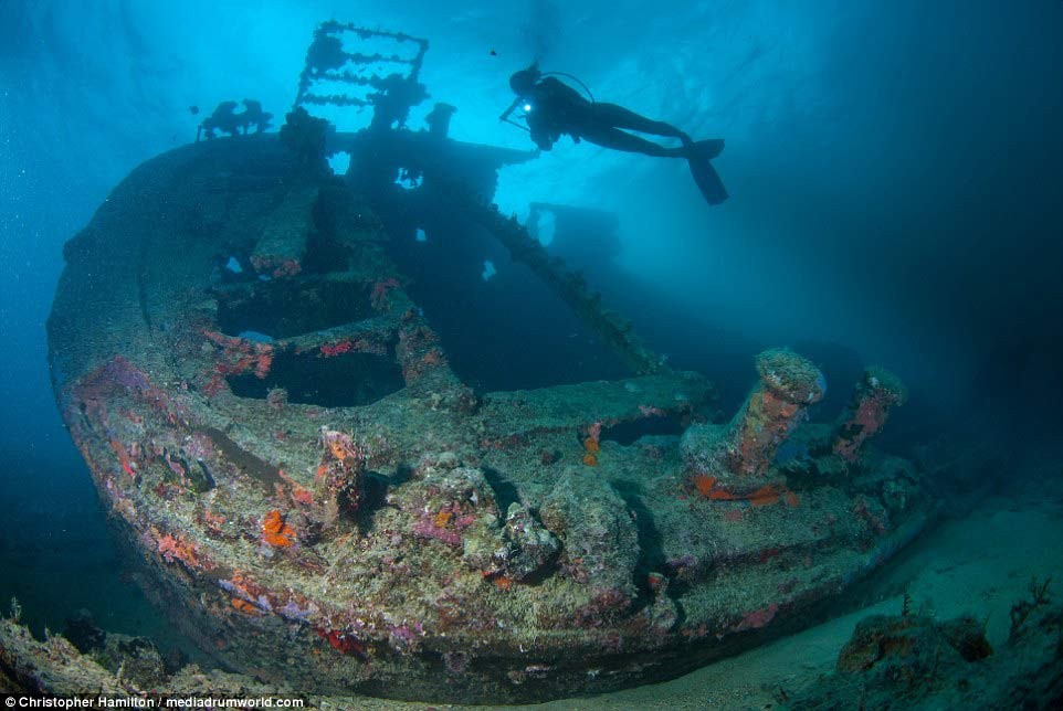 Khám phá “kho báu” của Mỹ dưới đáy Thái Bình Dương ảnh 9