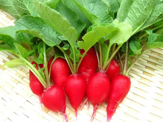 5 “thần dược” giá bình dân bổ như nhân sâm ảnh 4