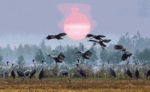 Những điểm đến nổi bật cho dân phố du ngoạn dịp cuối tuần ảnh 9