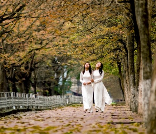 Tổng hợp những điểm du lịch lý tưởng cho mùa thu ảnh 2