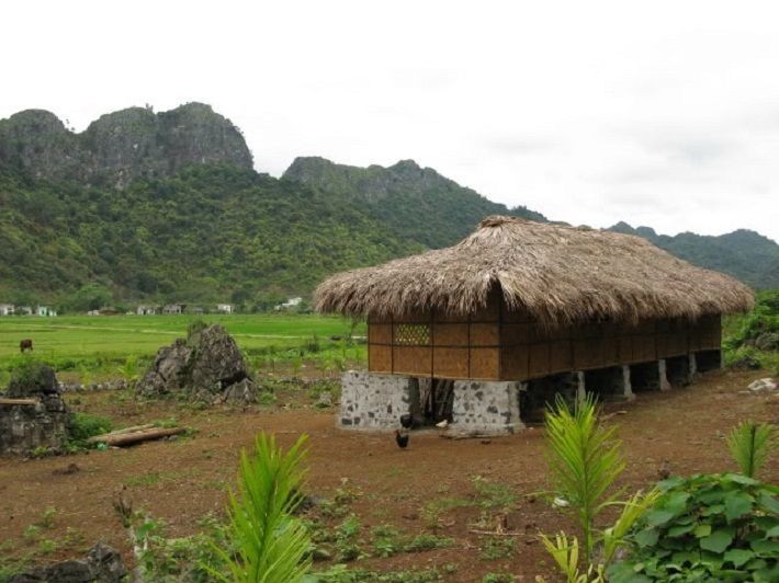 Đảo Cát Bà: Nơi rừng già và biển xanh gặp gỡ ảnh 4