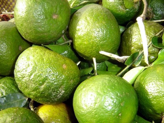 Dân Hà Nội “ăn quả lừa” vì cam Tàu đội lốt cam Việt Nam ảnh 6