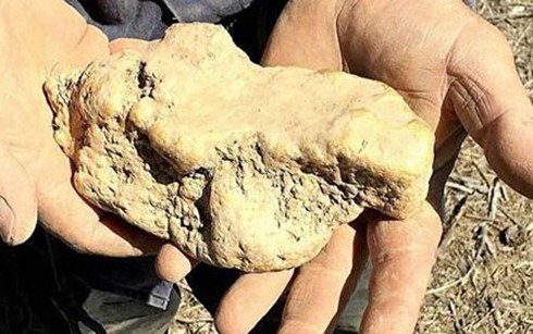 Người đàn ông may mắn nhặt được khối vàng 4,1 kg dưới đất ảnh 1