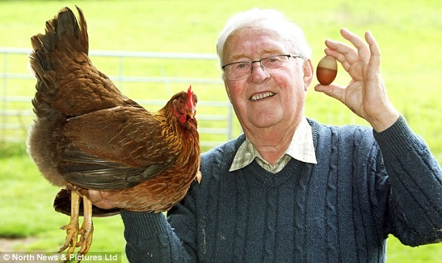 Quả trứng gà hai màu độc nhất vô nhị ở Anh ảnh 2