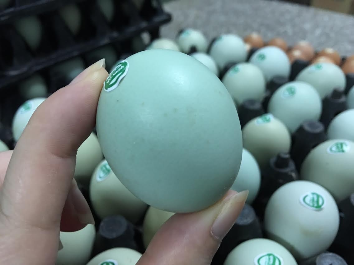 Giật mình trứng gà xanh siêu lạ, mỗi ngày bán 10.000 quả ảnh 3