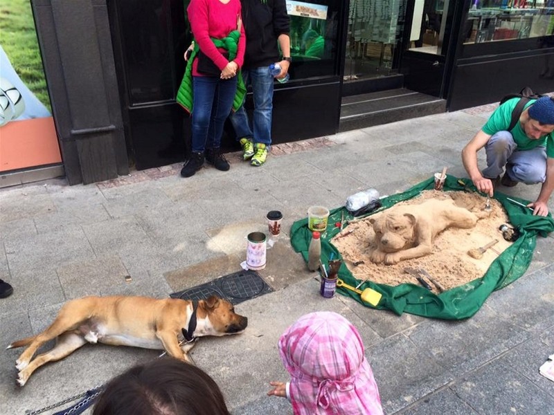 9 cách tiết kiệm tiền và thời gian khi du lịch châu Âu ảnh 8