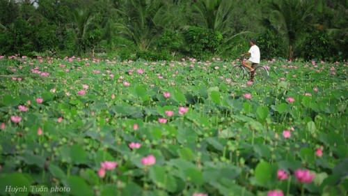 3 gợi ý 'đi trốn' giữa thiên nhiên ngay gần Sài Gòn ảnh 16
