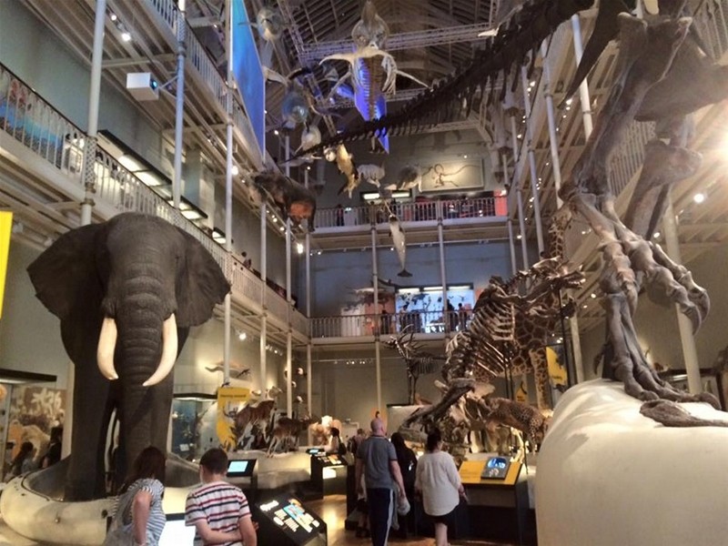 9 cách tiết kiệm tiền và thời gian khi du lịch châu Âu ảnh 4