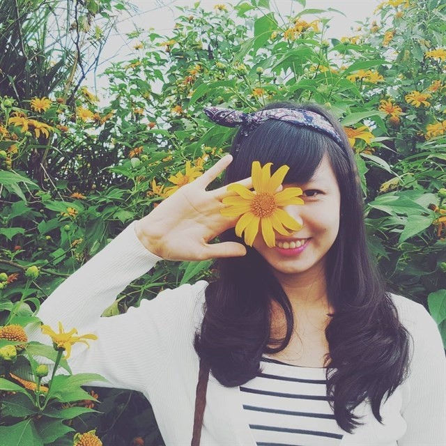 Rực rỡ sắc hoa Dã Quỳ Đà Lạt khi chạm ngõ tháng 11 ảnh 3