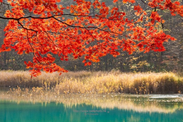 Lặng ngắm vẻ đẹp bình yên bất tận của hồ ngũ sắc Goshiki-numa ảnh 7