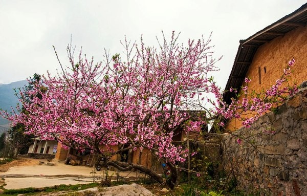 Thung lũng Sủng Là - Nơi đá nở hoa ảnh 2