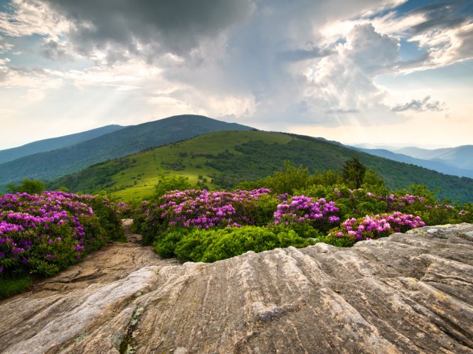 Những điểm đến bước ra từ... trang sách ảnh 5