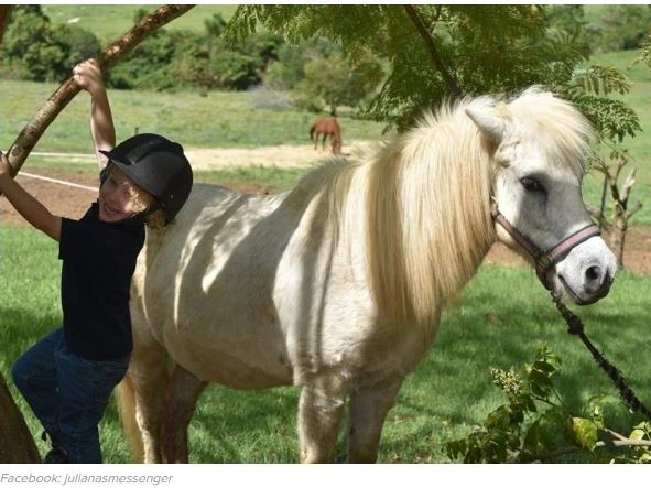 7 tuổi “khởi nghiệp” bán nước chanh 3 năm dành tiền mua...ngựa ảnh 1