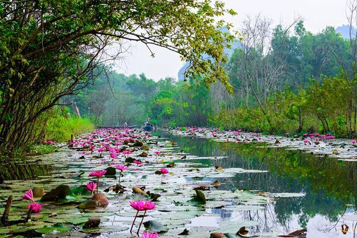 Chạm tay vào sắc thu Yến Vĩ ảnh 1