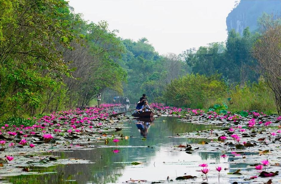 Chạm tay vào sắc thu Yến Vĩ ảnh 2