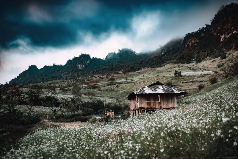 Những cung đường tuyệt vời nhất định phải đi tháng 11 ảnh 3