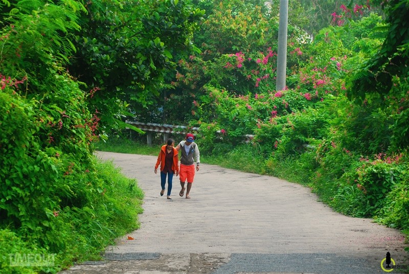 Rực hồng mùa tigon núi Sam ảnh 4