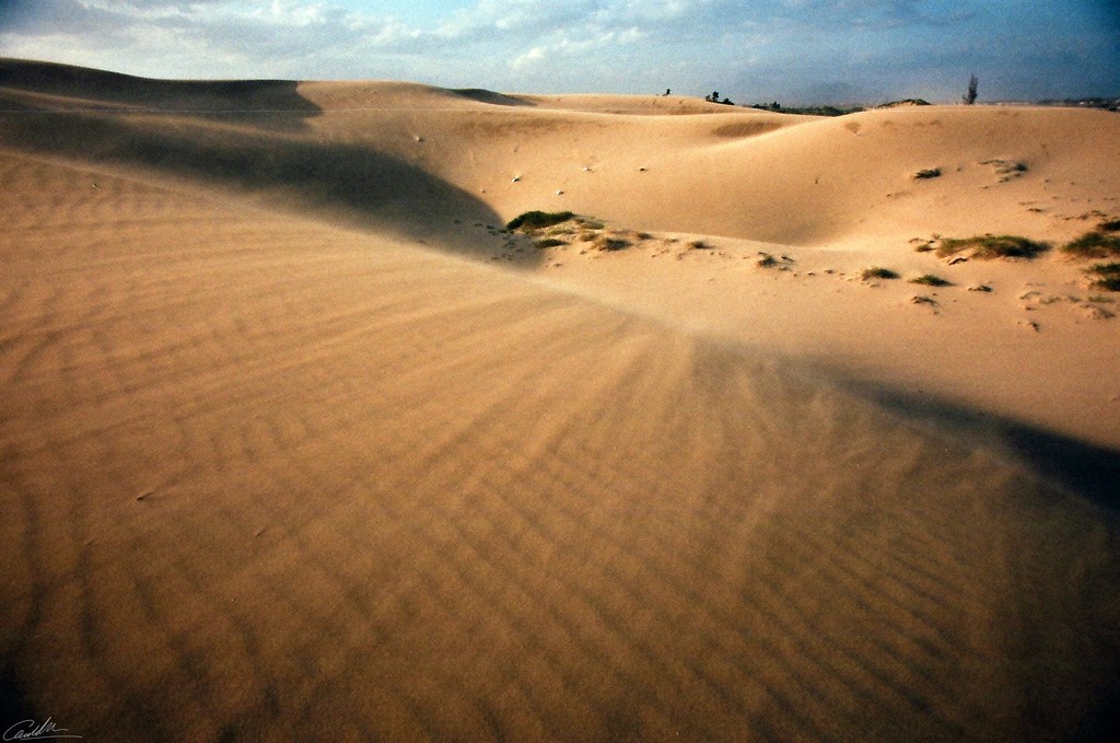 Du lịch du mục ở Ninh Thuận ảnh 3