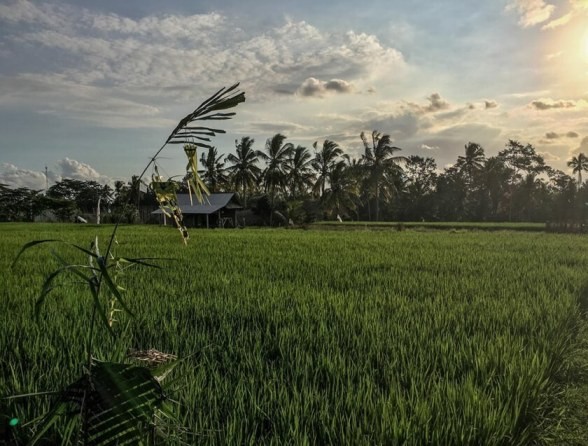 10 điều cần làm khi đi du lịch Bali ảnh 6