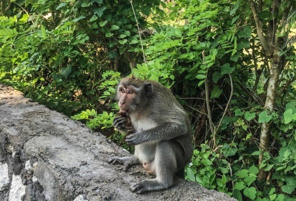 10 điều cần làm khi đi du lịch Bali ảnh 4