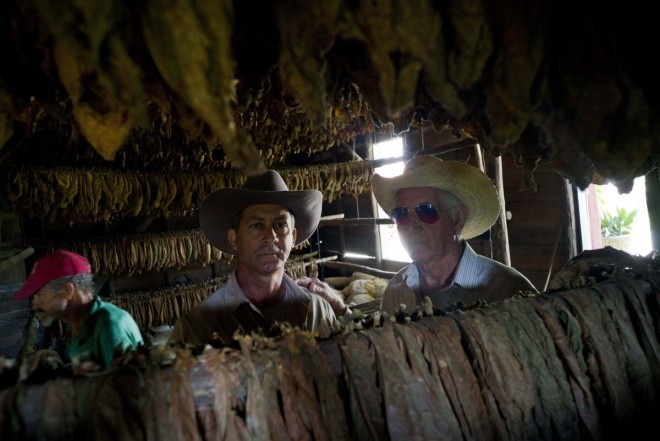 Bên trong trang trại sản xuất xì gà nổi tiếng Cuba ảnh 1 Bên trong trang trại sản xuất xì gà nổi tiếng Cuba ảnh 1