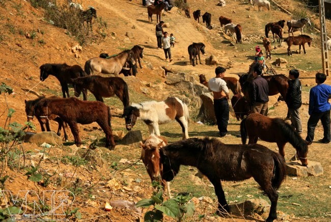 Khám phá những phiên chợ hấp dẫn du khách nước ngoài ảnh 2