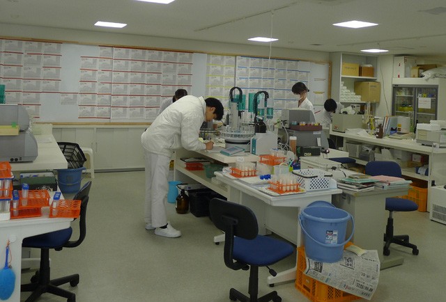 Những điểm đến hấp dẫn bậc nhất tại tỉnh Yamaguchi, Nhật Bản ảnh 11