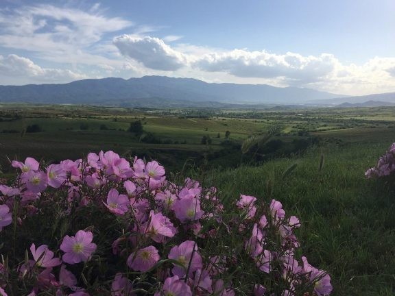 Việt Nam đứng đầu trong danh sách điểm đến tốt nhất cho du lịch giá rẻ 2017 của Forbes ảnh 7