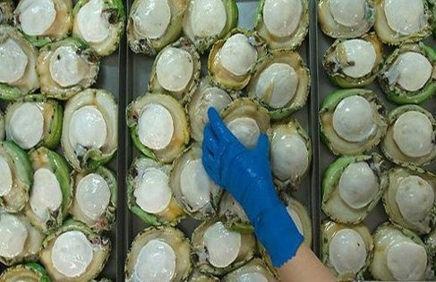 Bào ngư Úc 9 triệu đồng/kg: Nhà giàu Việt dưỡng sức chơi Tết ảnh 1