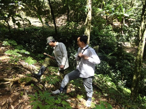 Chi hàng chục triệu đồng săn thần dược sâm Ngọc Linh, nhiều người ngậm đắng ảnh 2