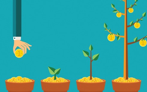 “Vòng đời” mà hầu hết các startup đều trải qua ảnh 1