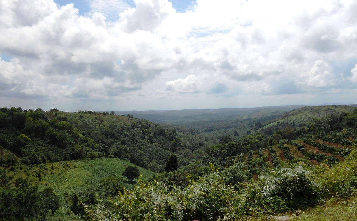 Những cao nguyên đẹp mê hồn ở Việt Nam ảnh 3