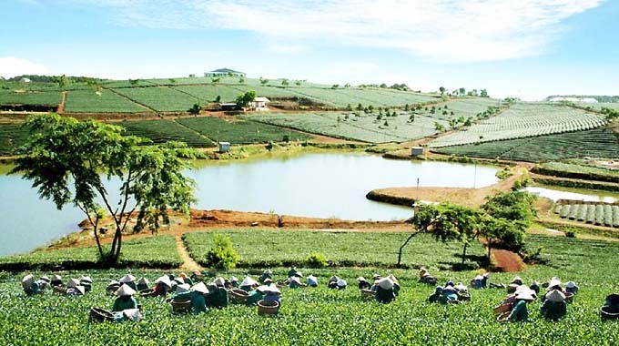 Những cao nguyên đẹp mê hồn ở Việt Nam ảnh 8