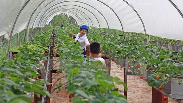 Bộ trưởng Bộ Nông nghiệp và Thống đốc thống nhất về gói 100.000 tỷ đồng cho nông nghiệp công nghệ cao ảnh 2