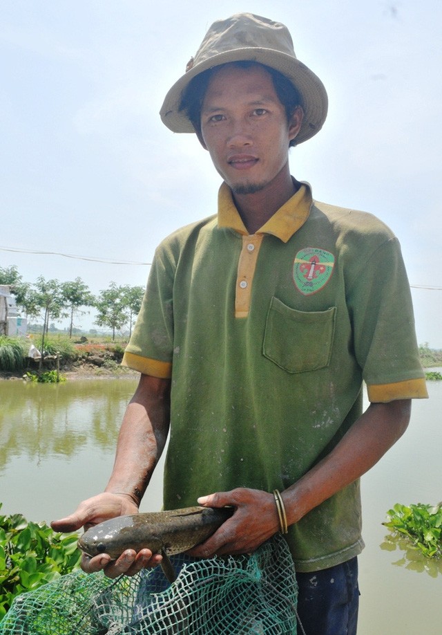9X từ nằm đất, ăn mì gói… trở thành ông chủ 400 công đất trồng lúa sạch ảnh 2