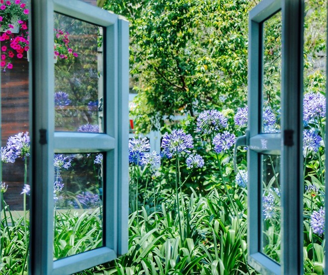 Sắc hoa rực rỡ tại Bà Nà Hills ảnh 7