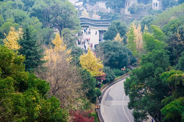 Mùa lá ở Chang Sa ảnh 4