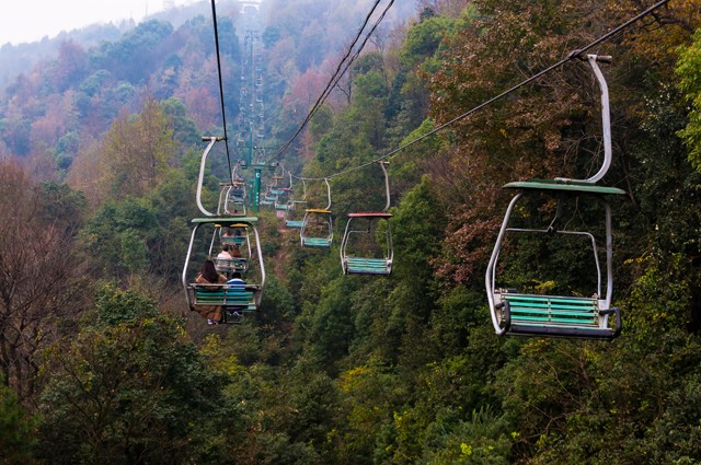 Mùa lá ở Chang Sa ảnh 6