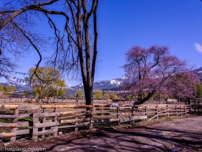 Bhutan mùa tuyết tan ảnh 11