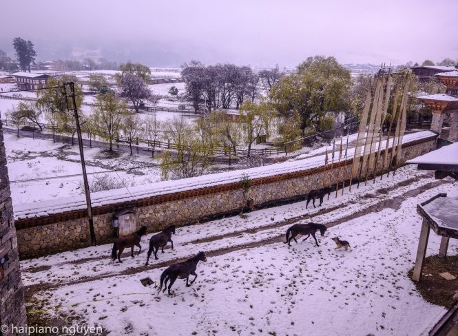 Bhutan mùa tuyết tan ảnh 13