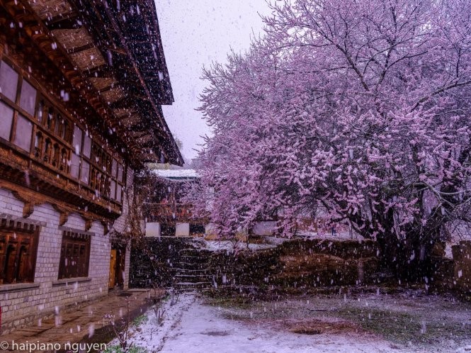 Bhutan mùa tuyết tan ảnh 5