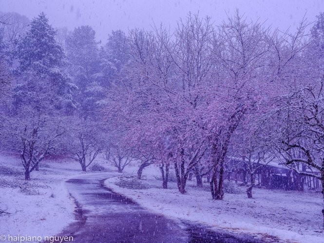 Bhutan mùa tuyết tan ảnh 8