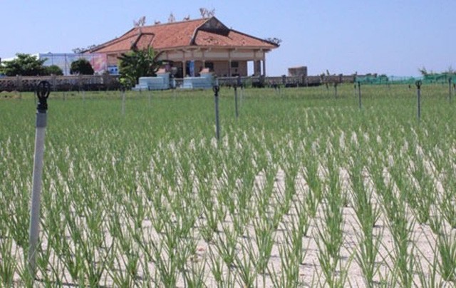 8 hòn đảo thiên đường đẹp “quên lối về” ở Việt Nam ảnh 3