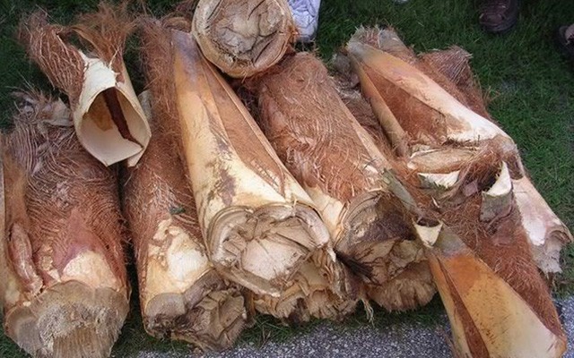 Mộc mạc củ hũ dừa - nét tinh hoa của ẩm thực Bến Tre ảnh 1