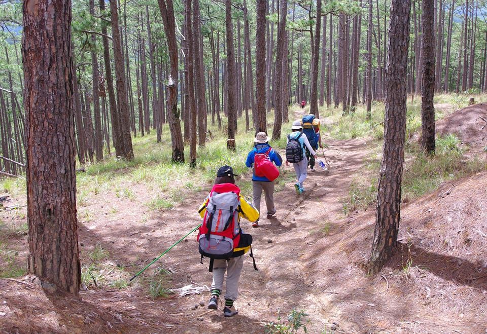 Trekking trên "nóc nhà Tây Nguyên" Bidoup ảnh 5