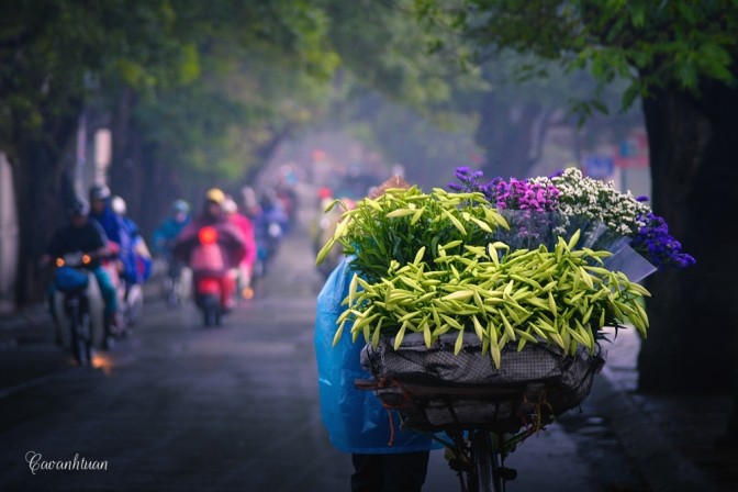 Gánh loa kèn và nỗi nhớ tháng 4 ảnh 1