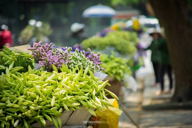 Gánh loa kèn và nỗi nhớ tháng 4 ảnh 5