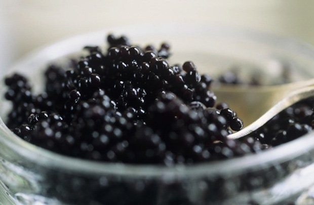 Những món ăn giá nghìn đô của đại gia Việt ảnh 1