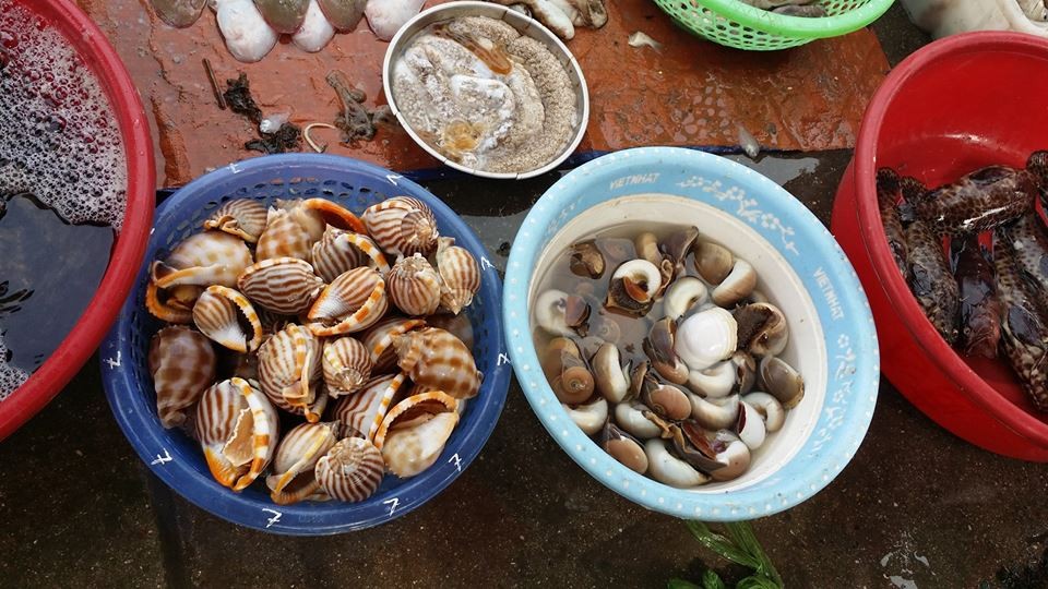 Chợ hải sản - Nét độc đáo của huyện đảo Cô Tô ảnh 3